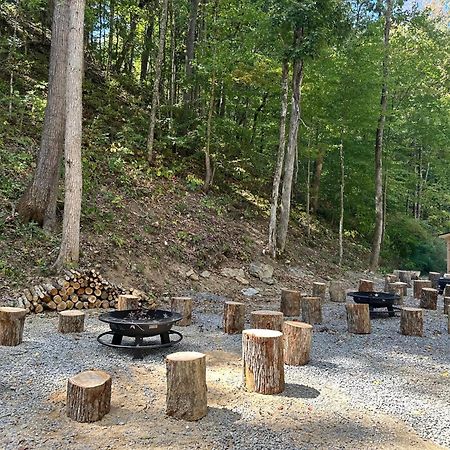 Cozy Cove Retreat W Lake View Hot Tub Firepit Dandridge Exterior photo