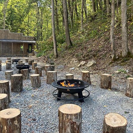 Cozy Cove Retreat W Lake View Hot Tub Firepit Dandridge Exterior photo